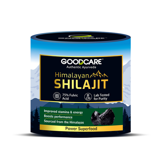 Goodcare Himalayan Shilajit Resin 15 gm