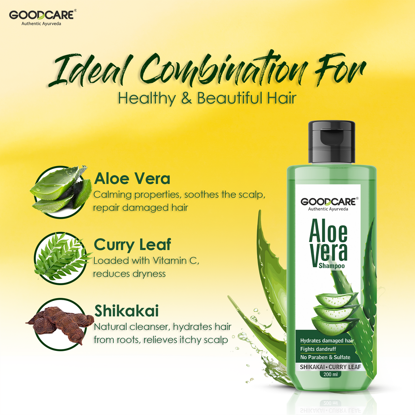 Dandruff Cure Combo of Aloe Vera Gel & Shampoo