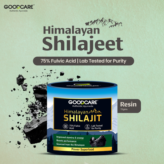 Goodcare Himalayan Shilajit Resin 15 gm