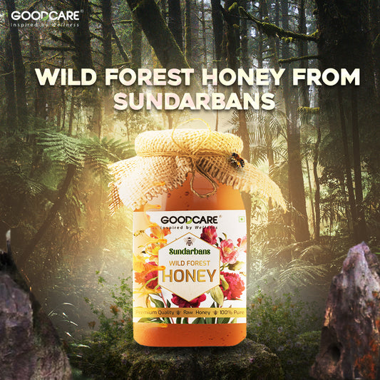 Wild Forest Honey - 500g