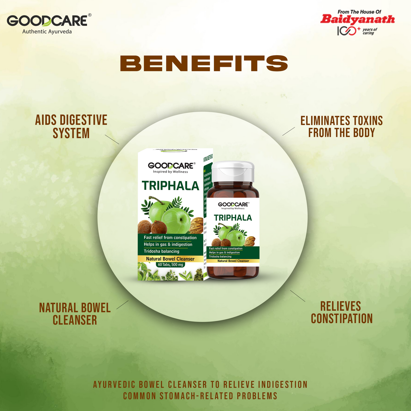 Goodcare Triphala Tablets | 60 Tab