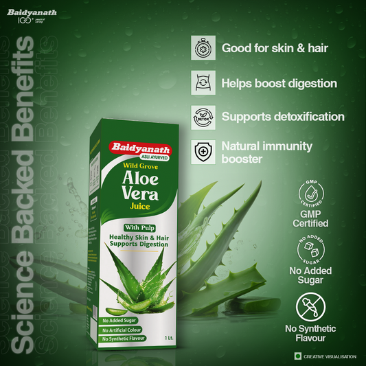 Baidyanath Amla Juice and Aloe Vera Juice 1 lit Combo