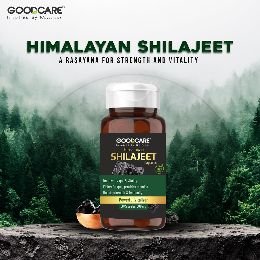 Himalayan Shilajit Capsules - 60 Capsules