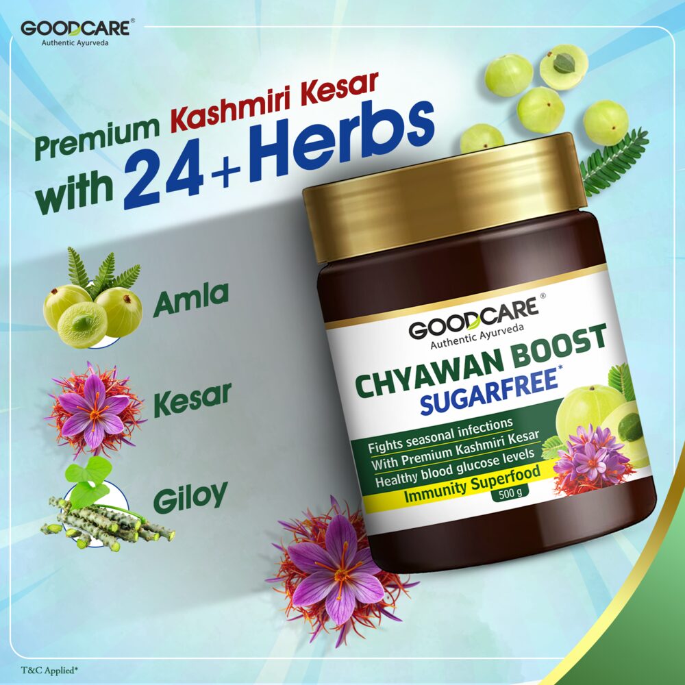 Goodcare Chyawan Boost Sugarfree