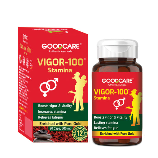 Vigor 100 Stamina Capsule For Vitality & Energy- 30 Caps